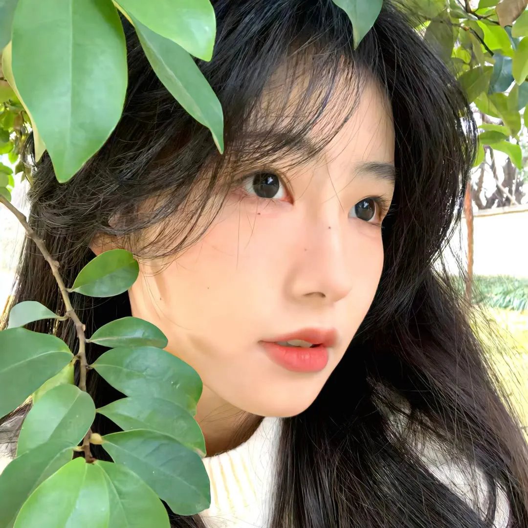 美丽的黄昏